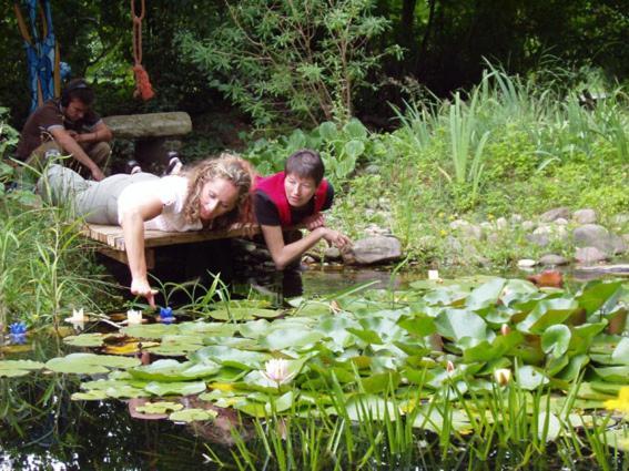 Ferienhaus Gartenlust Dierdorf Bagian luar foto