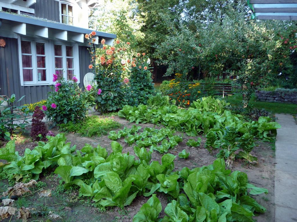 Ferienhaus Gartenlust Dierdorf Ruang foto